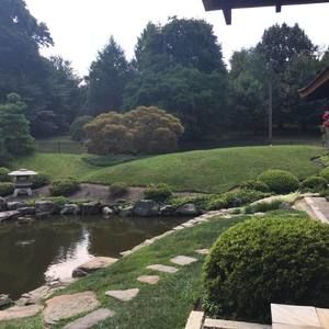 Meet your Posher, Chikys